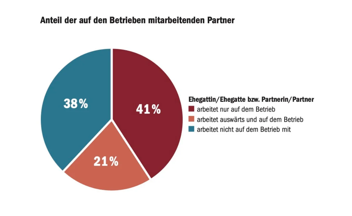 liz_mitarbeit_partner_bab Auf wie vielen Betrieben arbeitet die Partnerin oder der Partner mit?