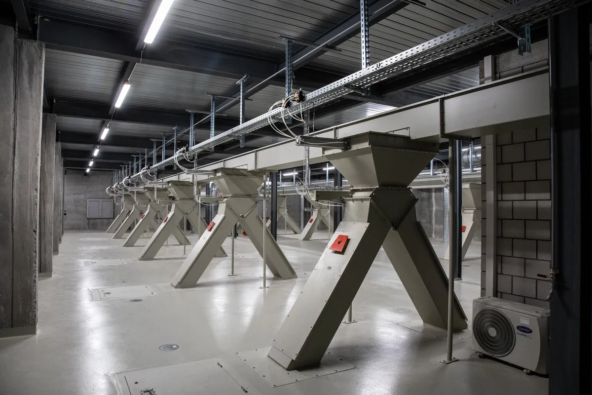 dg_21-10_th5_03verteilung Der Verteilboden befindet sich zuoberst im Futtersilo. Hierhin wird das gelieferte Getreide transportiert und dann auf eine von 30 Lagerzellen verteilt.