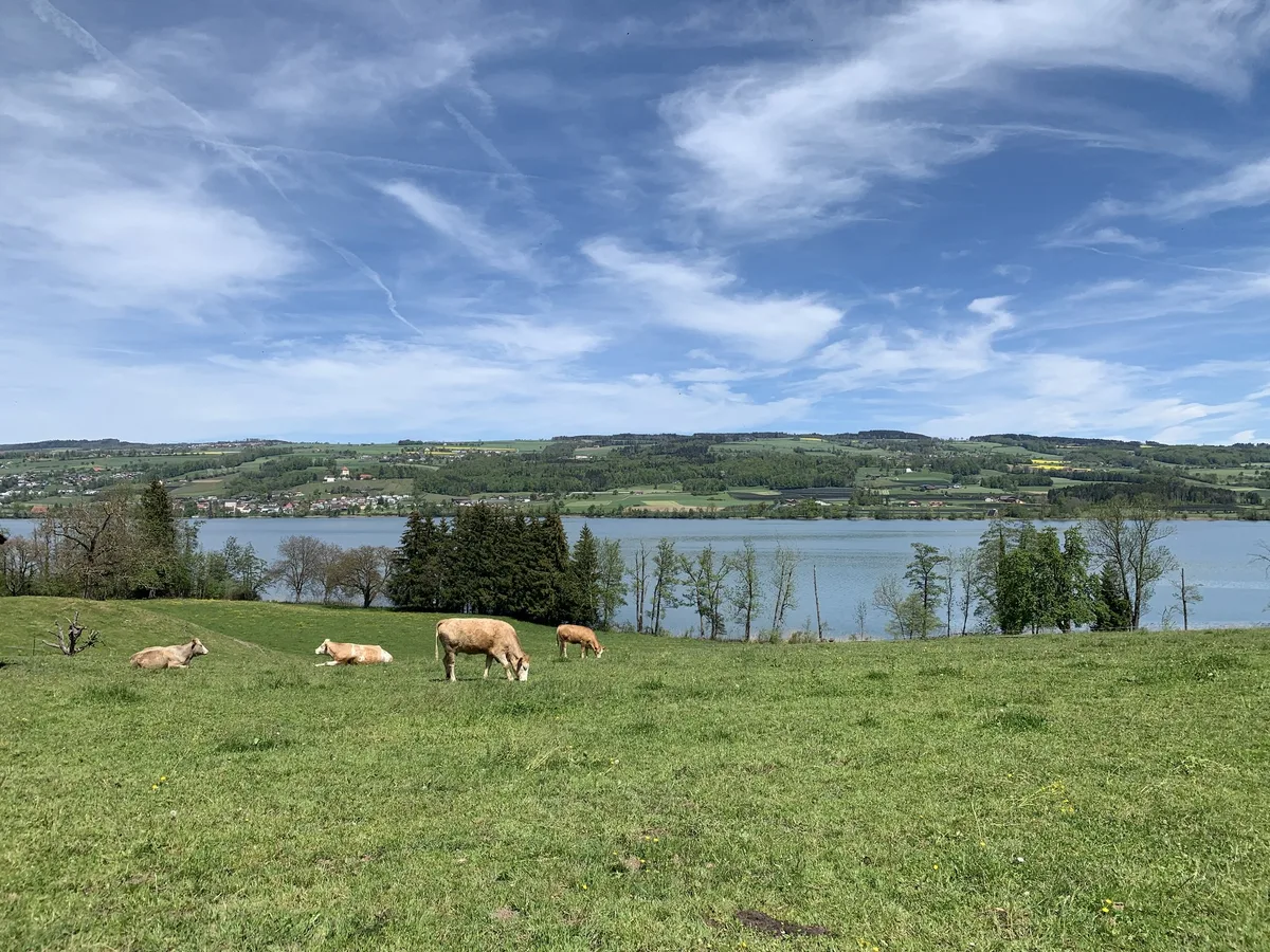 OS-05-B-Januartagung-Baldeggersee «Jeder Betrieb ist ein individuelles System»