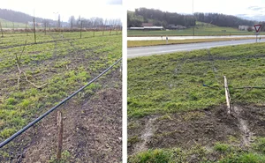 Der silbergraue Audi war laut der Kantonspolizei Thurgau in einer Kurve von der Strasse abgekommen.