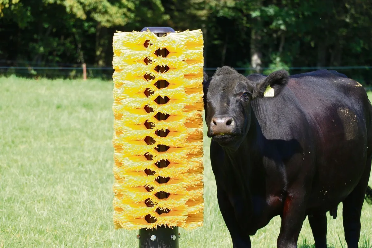 e87a0c2cdba19377db03100be9353dfa5dc4f6d9fa664fd2507b6d6d3092f047 Öffentlichkeitsarbeit: An der Aargauer Landwirtschaftsausstellung präsentierte sich Mutterkuh Schweiz mit verschiedenen Rassen und einem Infostand.
