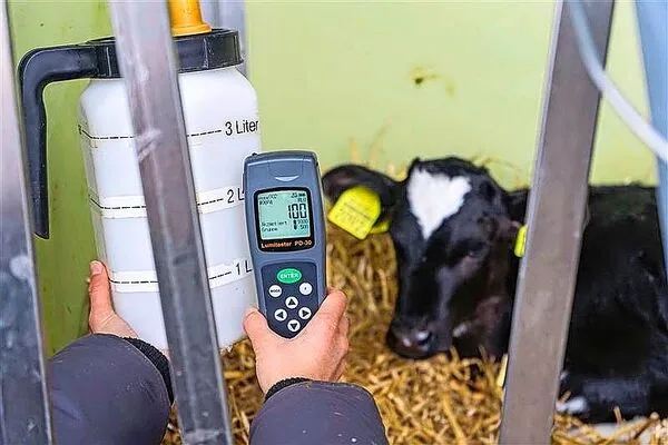 Die Strickhof-Kälberflasche hat den Hygienetest mit dem Lumitester bestanden. Ergebnis: 100 RLU (gut = < 300 RLU).
