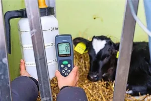 Die Strickhof-Kälberflasche hat den Hygienetest mit dem Lumitester bestanden. Ergebnis: 100 RLU (gut = < 300 RLU).