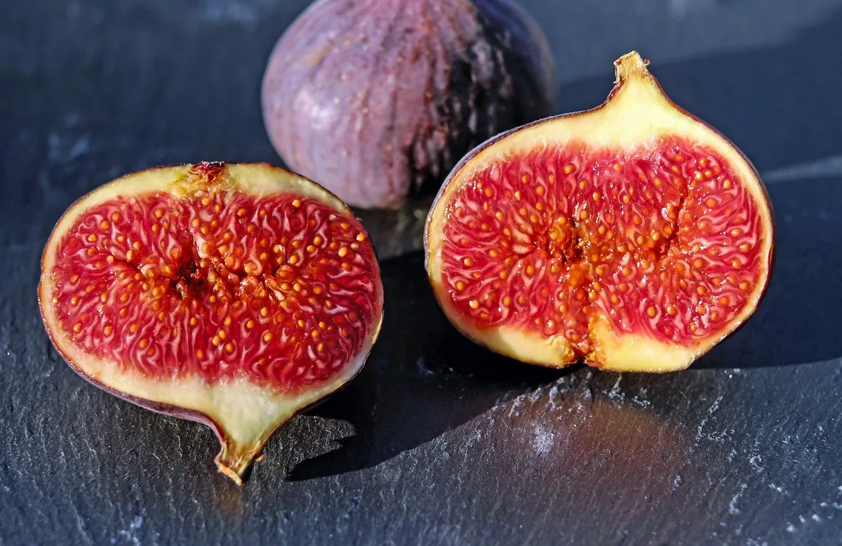 feige_pixabay_pd Die Feige ist eine der ältesten Früchte der Welt