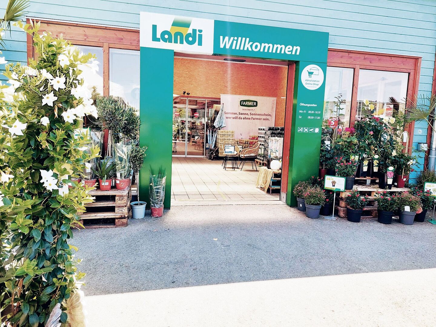 Der gut laufende Landi-Laden in Gebenstorf ist für die Hälfte des Umsatzes zuständig.