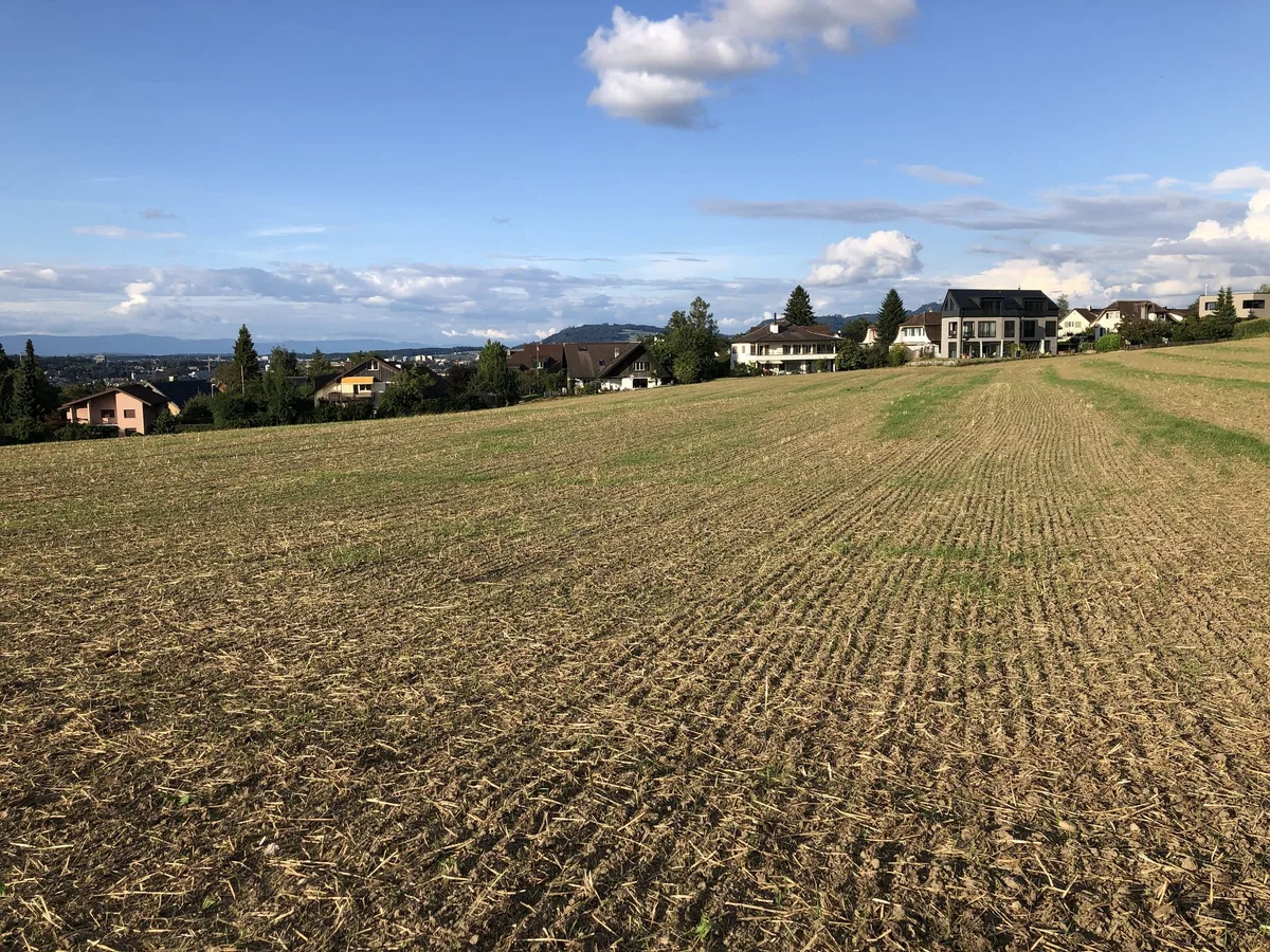 2020 sind die Landwirtschaftlichen Einkommen zwar gestiegen – 2021 sind aber deutlich geringere Produktionswerte zu verzeichnen