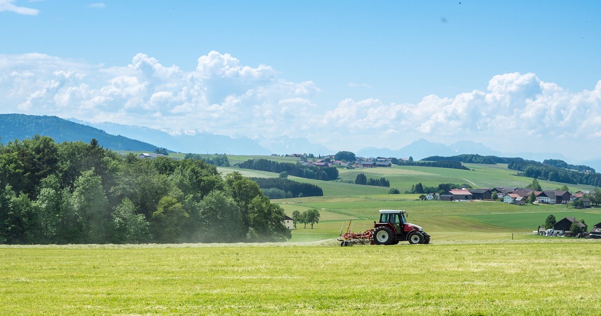 «Grobfahrlässige Zerstörung»: Landwirtschaft in Österreich durch Überbauung bedroht