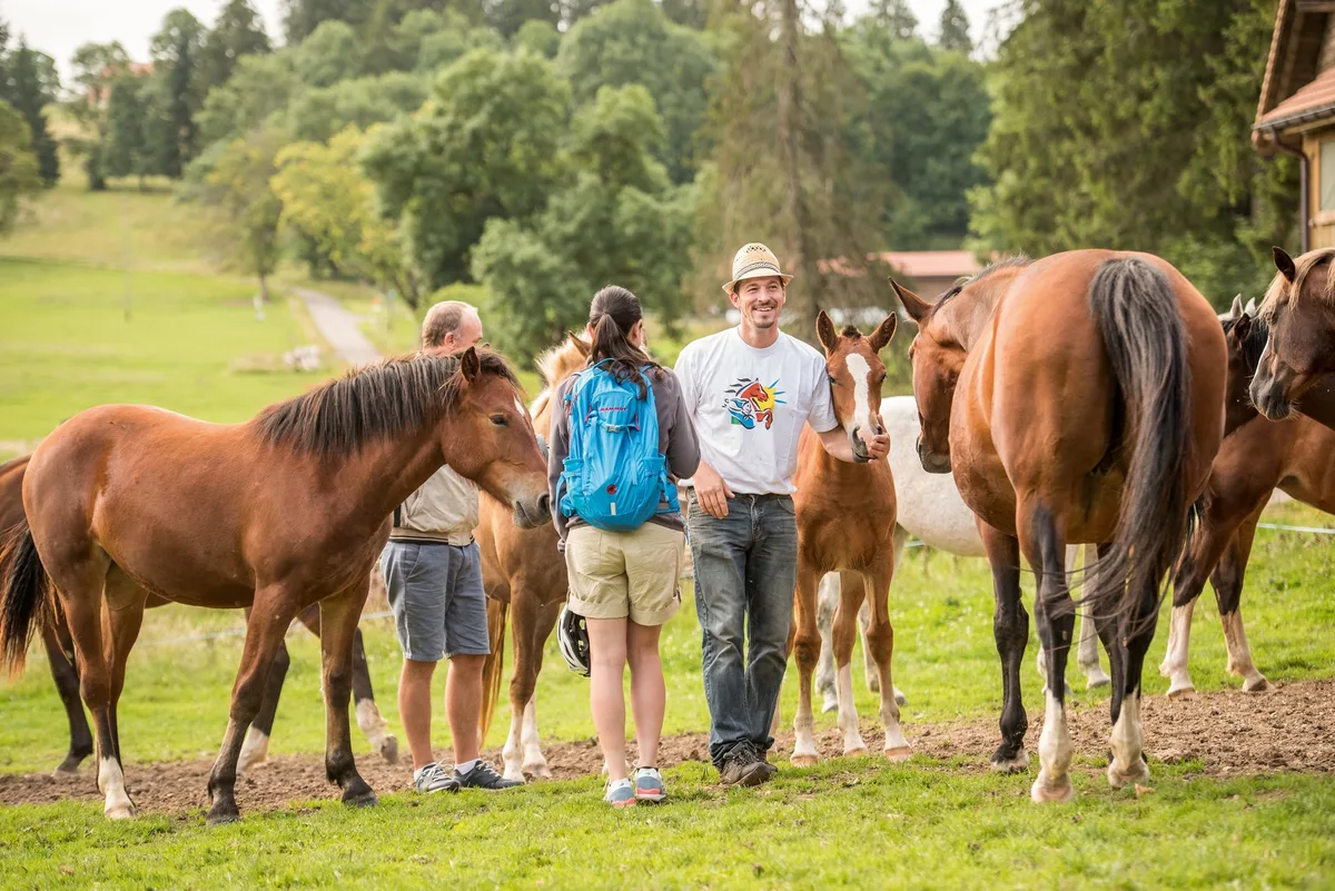 Freiberger_jura_BLW Im Jura scheint die regionale Wertschöpfungskette zu funktionieren