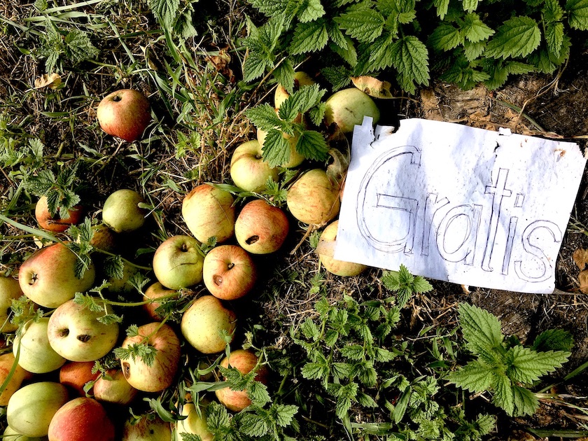 Bild der Woche: Gratis zum Mitnehmen