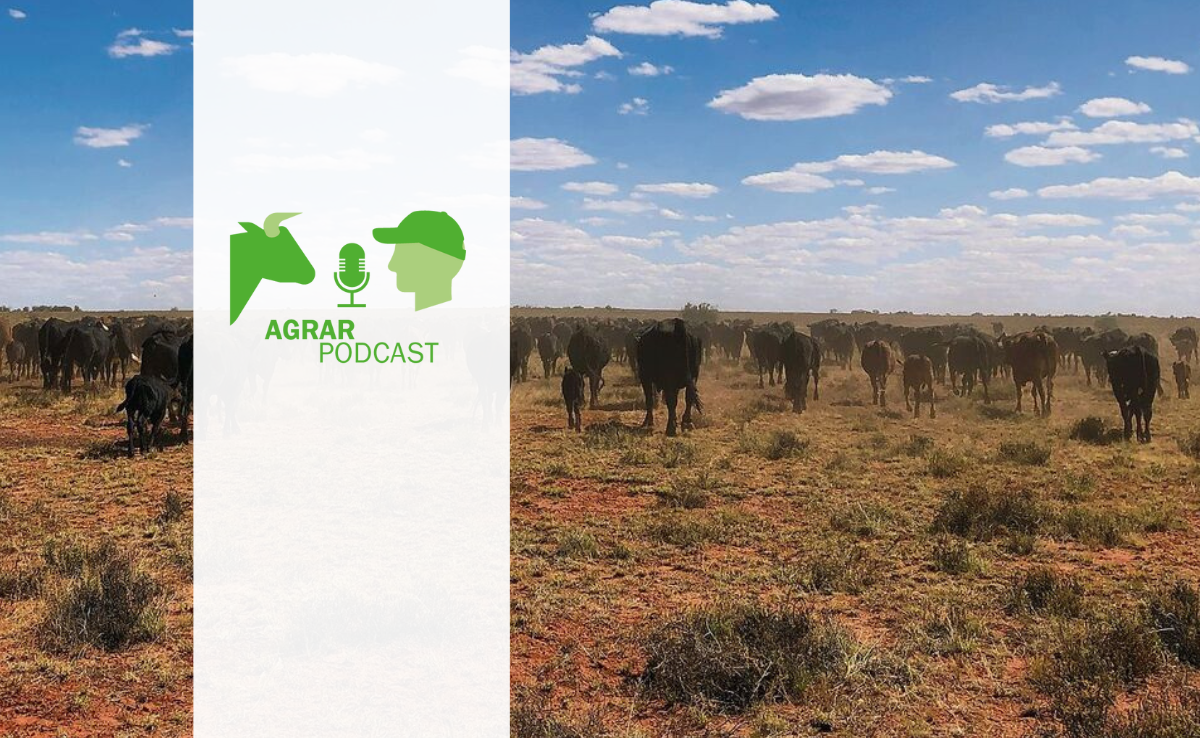 Vom Untergrund über Down Under und Unerklärliches im neuen AgrarPodcast