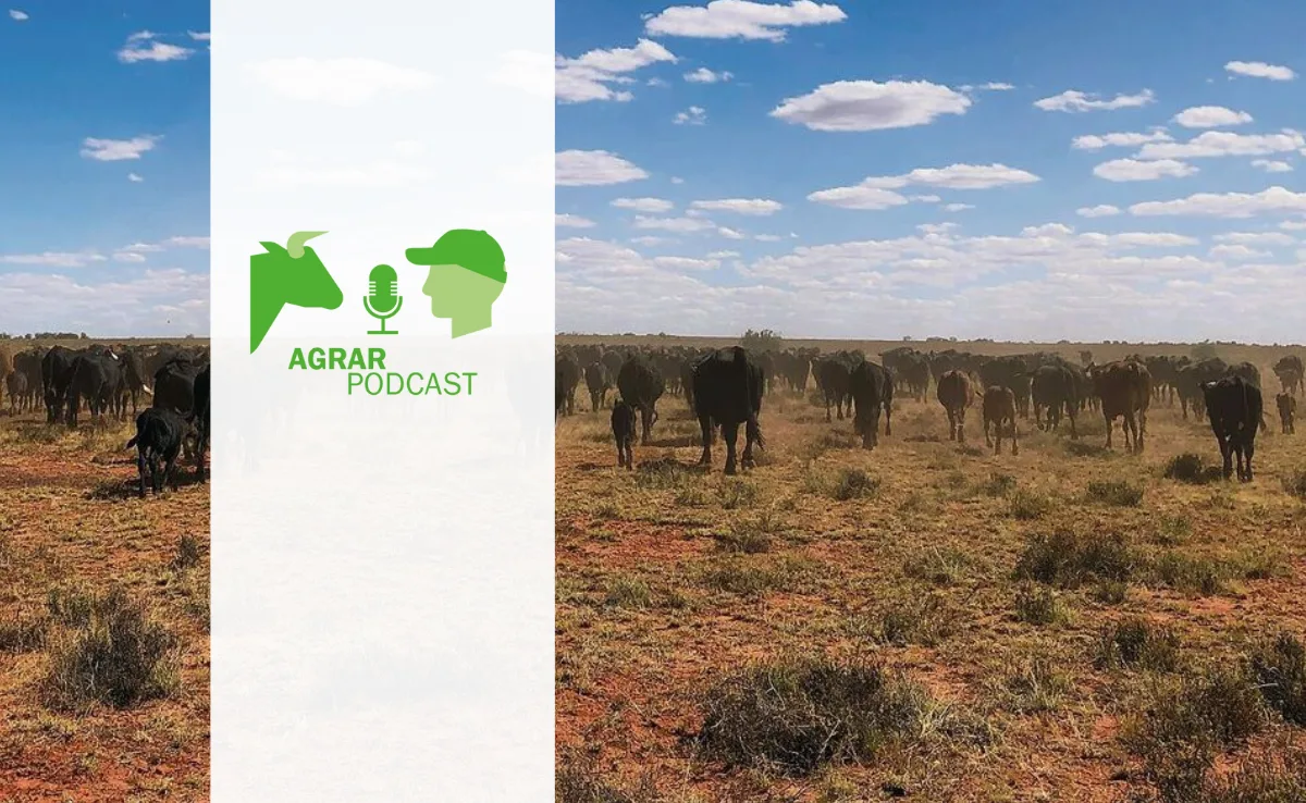Vom Untergrund über Down Under und Unerklärliches im neuen AgrarPodcast
