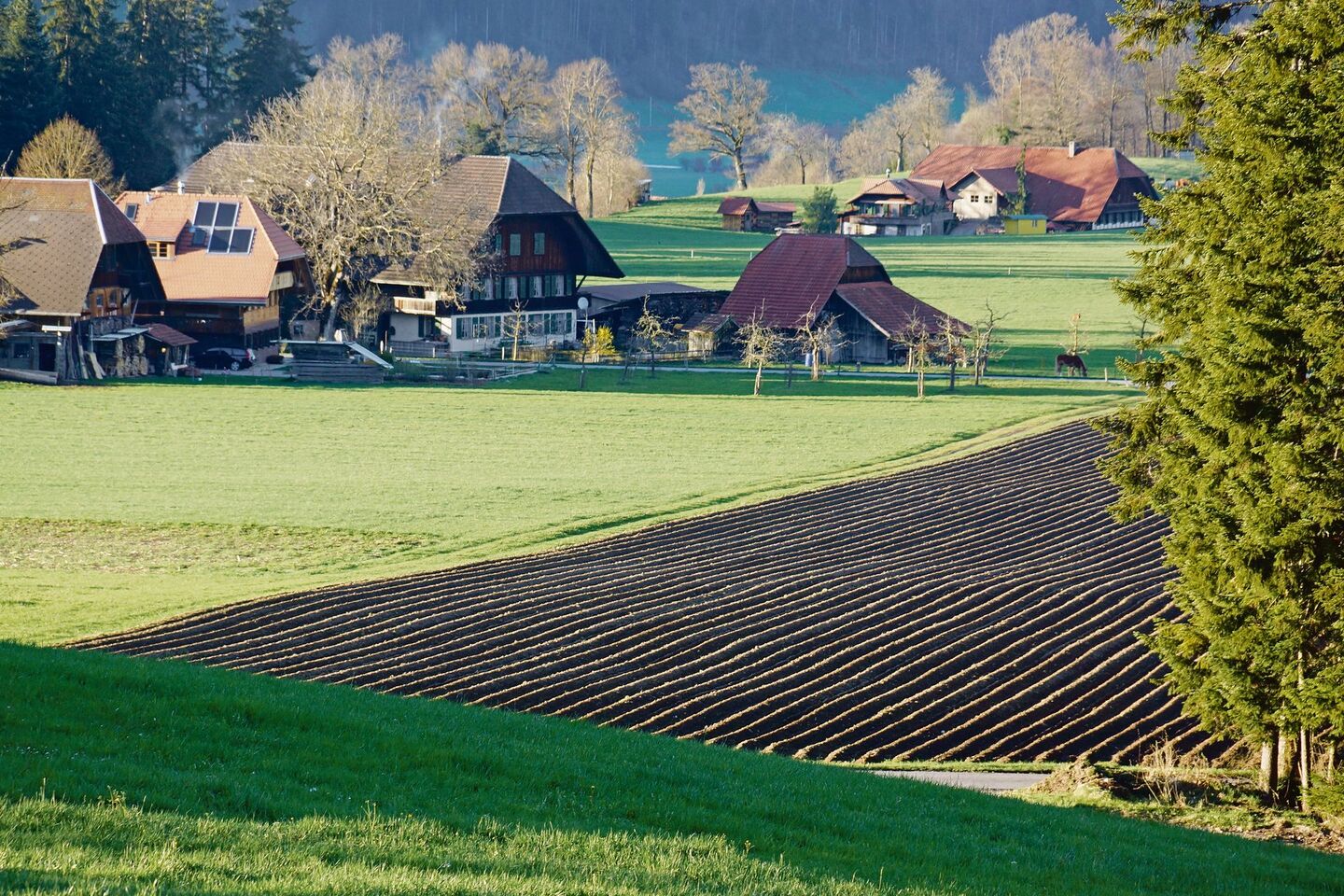 Kuh- oder Bergrechte, die nicht an das Talland gebunden sind, werden oftmals an nicht selbstbewirtschaftende Nachkommen weitervererbt. Sobald diese jedoch einem landwirtschaftlichen Gewerbe angehören, ist dies kaum oder gar nicht mehr möglich.