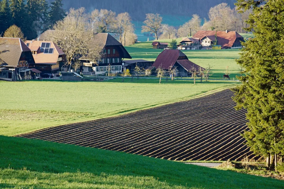 Kuh- oder Bergrechte, die nicht an das Talland gebunden sind, werden oftmals an nicht selbstbewirtschaftende Nachkommen weitervererbt. Sobald diese jedoch einem landwirtschaftlichen Gewerbe angehören, ist dies kaum oder gar nicht mehr möglich.