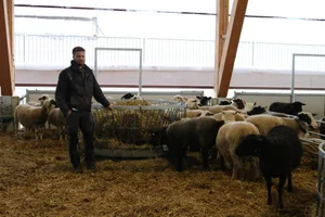 Stefan Gantenbein in seinem 2020 neu erbauten, grossräumigen Schafstall mit den verschiedenen Leistungsgruppen.