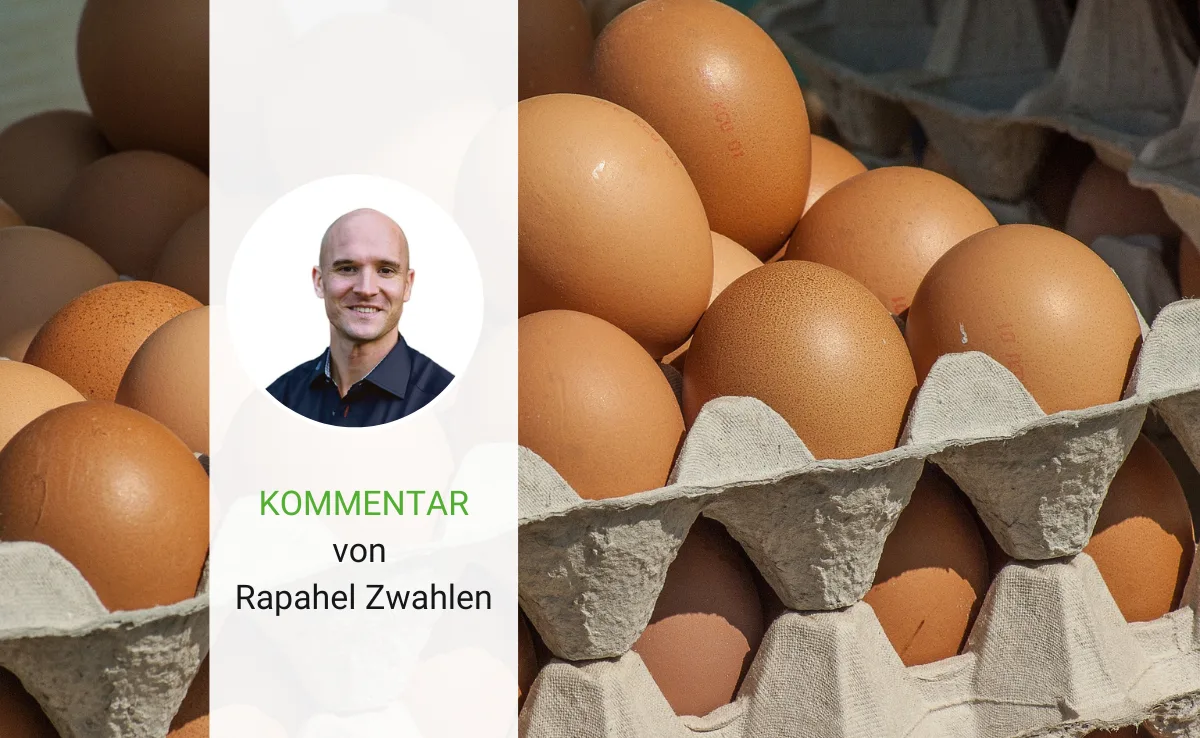 kommentar_eier_zwahlen «System und Planung im Eiermarkt sind grundsätzlich zu überdenken»