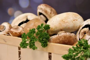 Champignons sind die meistgekauften Pilze in der Schweiz. (Bild Pixabay)