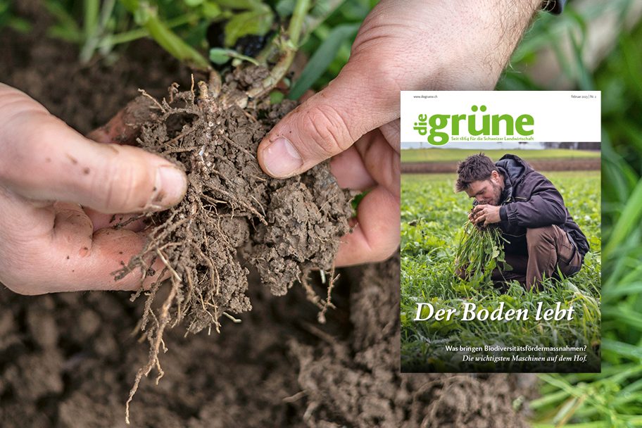«die grüne» im Februar 2023 – Der Boden lebt