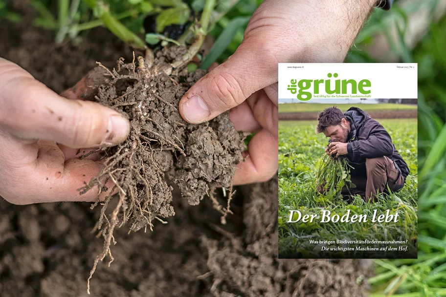 «die grüne» im Februar 2023 – Der Boden lebt