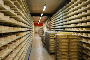 Die BOM hat kürzlich eine Erhöhung der Verkäsungszulage um 3 Rp./kg gefordert. Auch die per Motion vorgeschlagene Koppelung an Richtpreise soll die Situation der Milchproduzenten verbessern.