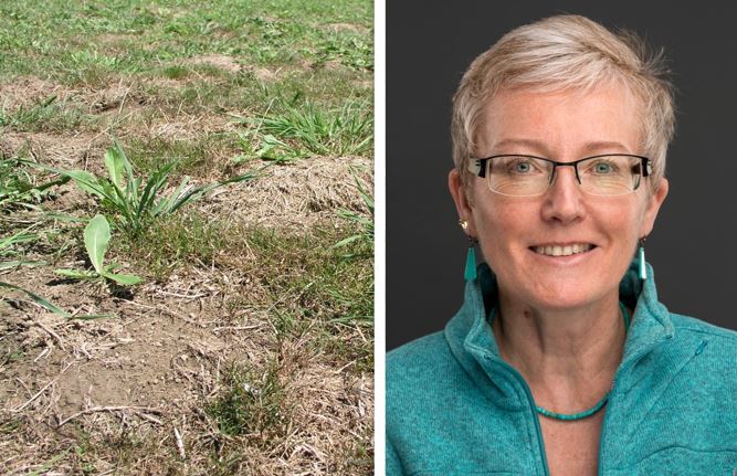 Trockene Sommer, weniger Erträge: ETH-ProfessorinNina Buchmann spricht an der SGA-Tagung über den Klimawandel. (Bilder Fenaco/ETH Zürich)