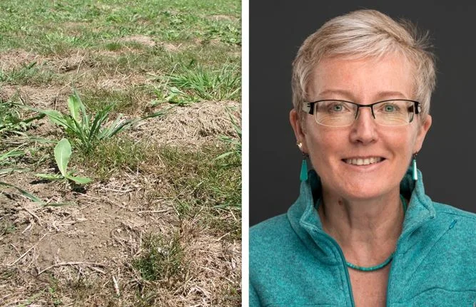 Trockene Sommer, weniger Erträge: ETH-ProfessorinNina Buchmann spricht an der SGA-Tagung über den Klimawandel. (Bilder Fenaco/ETH Zürich)