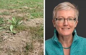 Trockene Sommer, weniger Erträge: ETH-ProfessorinNina Buchmann spricht an der SGA-Tagung über den Klimawandel. (Bilder Fenaco/ETH Zürich)