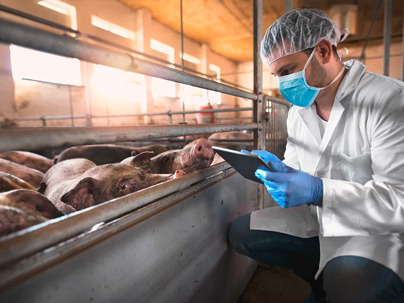 fba3f161f4734b01340486346ae5afcd6e430676 Unter anderem steht die Digitalisierung in der neuen Tiergesundheitsstrategie 2022+ im Fokus. (Bild BLV)