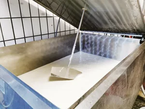 Zweimal monatlich wird jeweils eine offizielle Tankmilchprobe entnommen.(Bild Simone Barth).