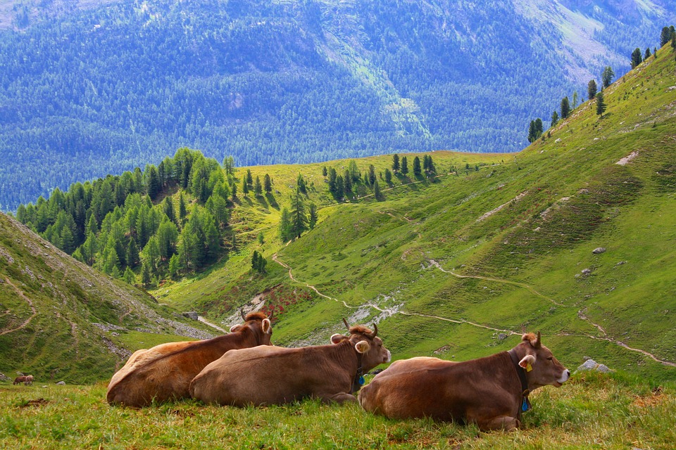 Die Vorlage betreffe sehr direkt auch die Berggebietskantone, schreibt die SAB. (Symbolbild Pixabay)