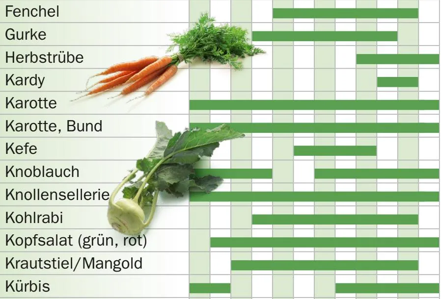 42d99af729600653bc61e186b37d7a09a3519d80 Karotten haben das ganze Jahr Saison, Kohlrabi von April bis November. (Bild Screenshot Verband Schweizer Gemüseproduzenten)