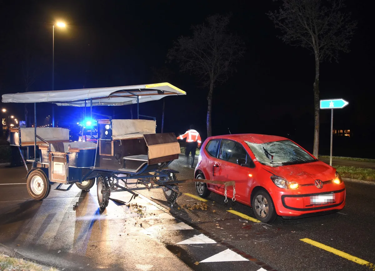 fdcf4d5db7eeea47b6f98cdf07564bcfb7292b54 Gestorben ist nicht das Pferd, das mit dem Auto zusammenstiess. (Bild Kapo SG)
