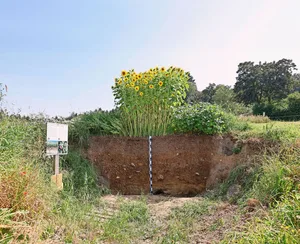Normalerweise bleibt der Boden unsichtbar, und viele Abläufe verbergen sich unter der Oberfläche. Bodenproben helfen, wichtige Erkenntnisse ans Licht zu bringen.