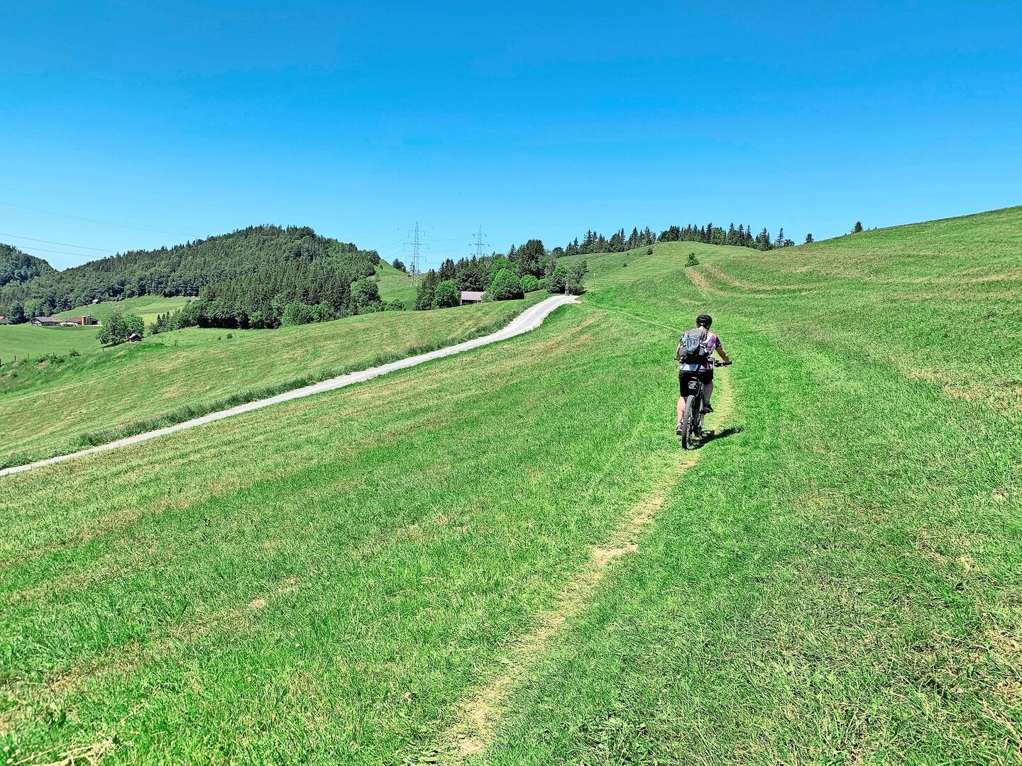 Darf der das? Mountainbiker auf Wiese.