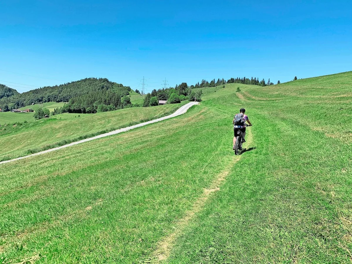 90a2a7fe30be4161fb355455aeb459b64f85e9cba138f48126ebf4ebe5294562 Darf der das? Mountainbiker auf Wiese.