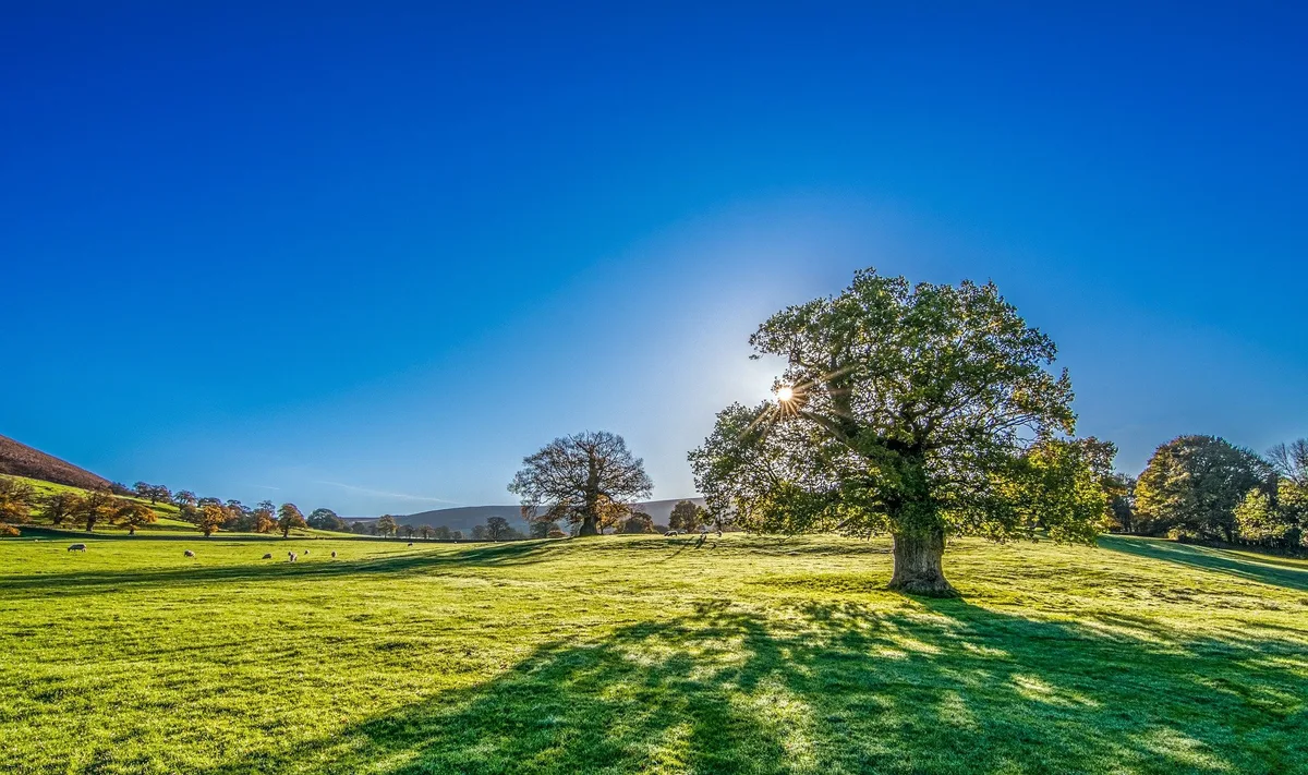 Der Sommer 2022 wird wohl der zweitheisseste seit Messbeginn