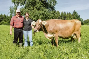 Jason Kenia von Christian und Jasmin Albrecht ist mittlerweile 23 Jahre alt (im Bild 13 Jahre). Sie ist die älteste Kuh der Schweiz mit einer Lebensleistung von 175 '000 kg Milch. (Bild Braunvieh Schweiz)