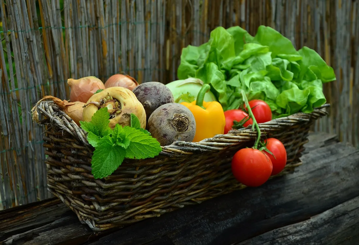 vegetables-752153_1280 Der Hefenhofen-Besitzerwechsel ist nun offiziell