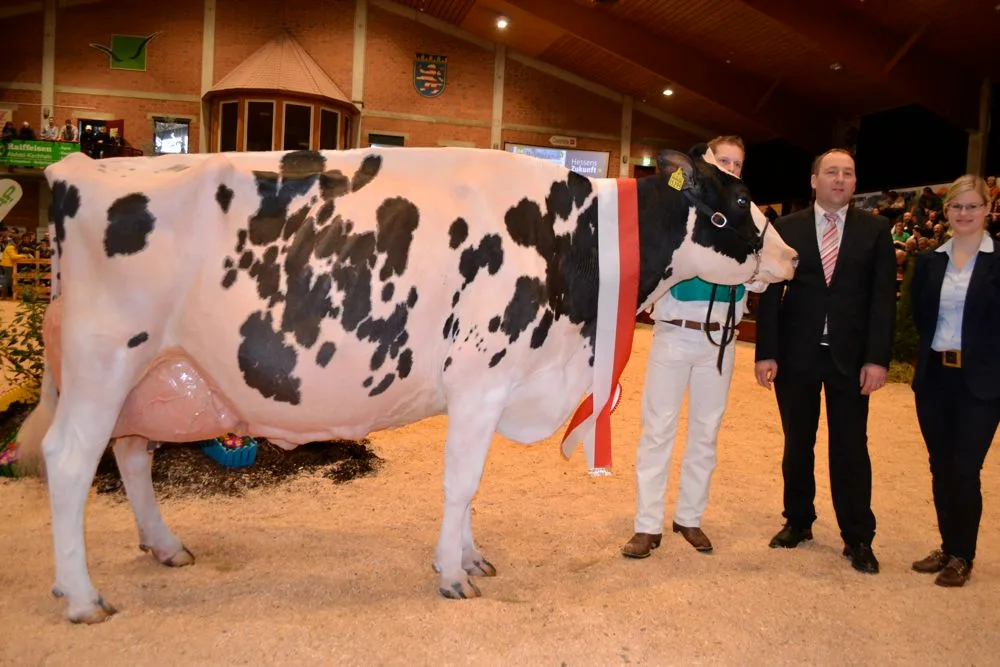 729ee129cb5a75cc7f688f59d82f418dbad29262 Suprême Champion und Senior Siegerin der Holstein: Duplex Myrthe vom Betrieb Muetze in Frankenberg. (BIlder: Peter Fankhauser)