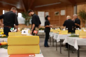 Bei der Alpkäseprämierung werden Aussehen, Konsistenz und Geschmack bewertet.