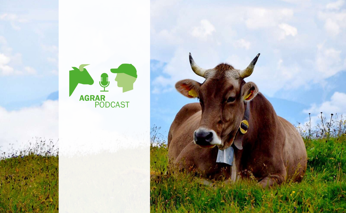 Ein Lexikon für Schweizer Nutztiere und ein vom Schicksal gebeutelter Landwirt – das ist Episode 20