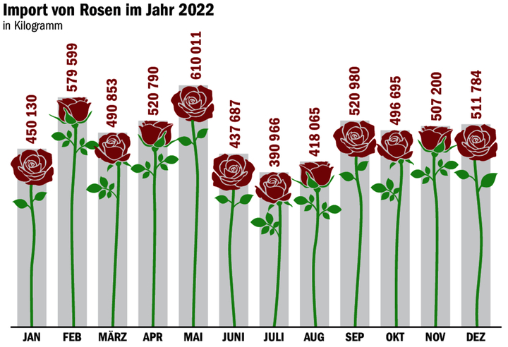 Beflügelte Liebesboten: Rosen sind oft Luftfracht