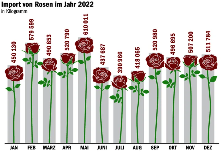 ca21057aea9cbdf30533f7a370219cbb3e8c266d8a19bf7d7dc90ae48043ac2d Beflügelte Liebesboten: Rosen sind oft Luftfracht
