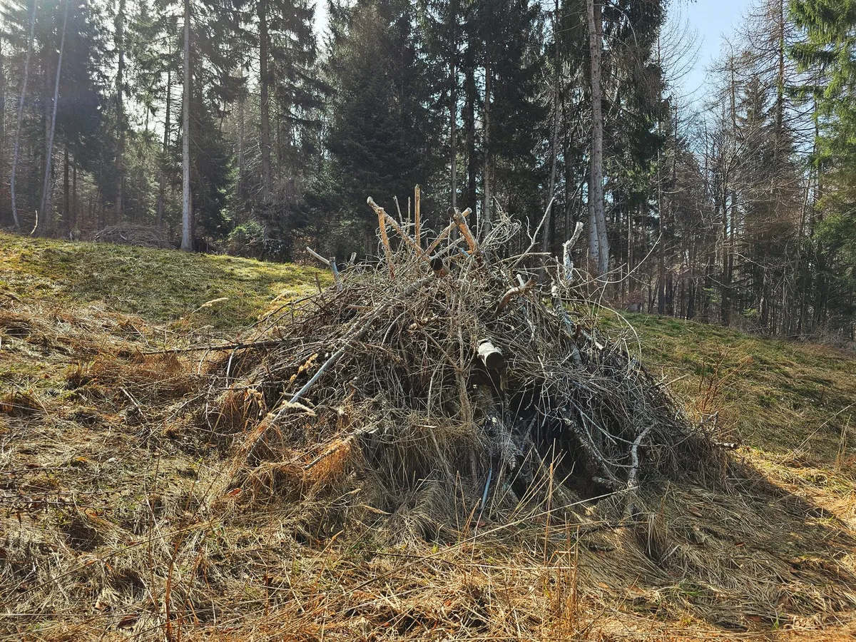 Asthaufen_PNGR Pro Natura fördert im Raum Glarus die Ausbreitung von Hermelin und Mauswiesel