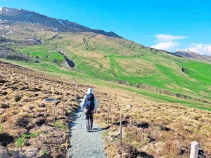 Auf den Alpen sind viele Kilometer Zäune zu erstellen. Hier auf der Alp Oberst im Val Schons.