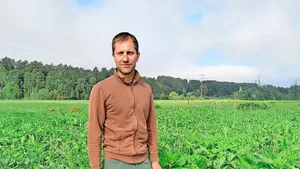 Am liebsten baut der Aargauer pestizdfreien Weizen nach Raps bzw. einer vielfältigen Gründüngung an, die er als Flächenrotte einarbeitet.