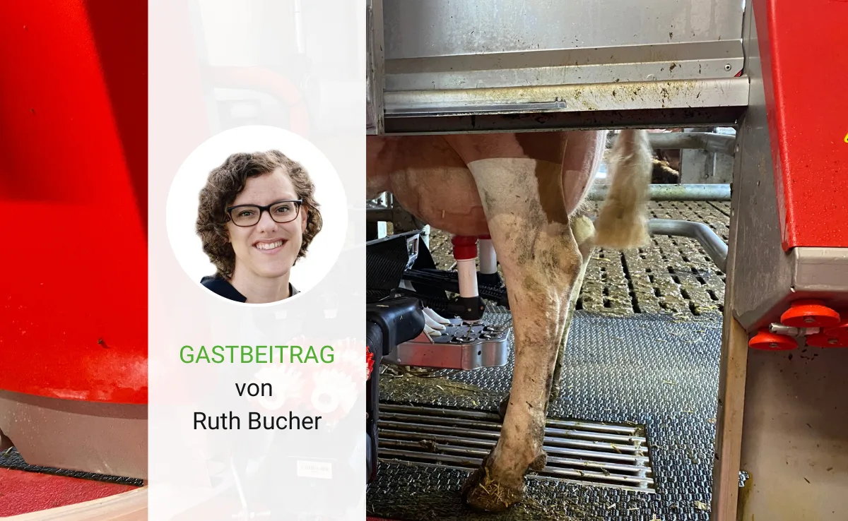Artikel_Gastbeitrag_BauZ_BucherHogbesichtigung Mit dem Mann auf Hofbesichtigung