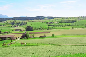 Die grosse Artenvielfalt in der Schweiz führt Marcel Züger auf die abwechslungsreiche Topografie zurück. Eine «Problemzone» sei das Mittelland, genauer die Agglomerationen und ihr Umfeld.