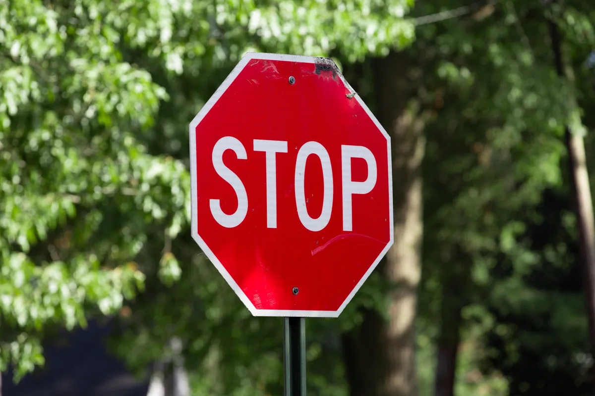 will-porada-ZaGcU6BxJEc-unsplash Jagd auf Wölfe in Graubünden vorerst gestoppt