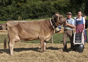 Roland Odermatt aus Hausen am Albis hatte mit seiner Braunviehkuh Tanja einen erfolgreichen Tag. Neben dem Miss Titel holte diese noch drei weitere Titel. (Bilder Reto Betschart)