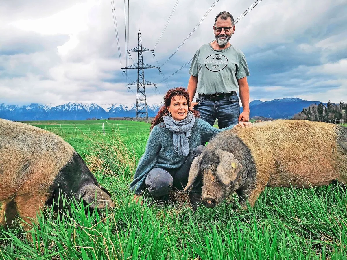 3a01af21d02868315cf65cfaf856336bb4af6159f8dfa3680bcd71b005bcdae0 Wer bewusst Fleisch isst, soll sehen dürfen, wie die Tiere leben und sterben, davon ist Urs Rubi überzeugt. Er produziert mit viel Leidenschaft und Transparenz spezielle Bioschweine.